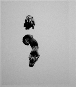 Image description is not available for 2001.090